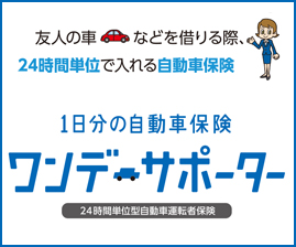 ワンデーサポーター