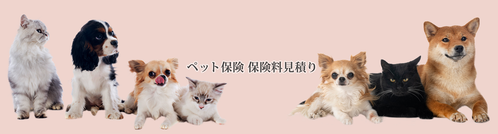 >ペット保険 保険料見積り
